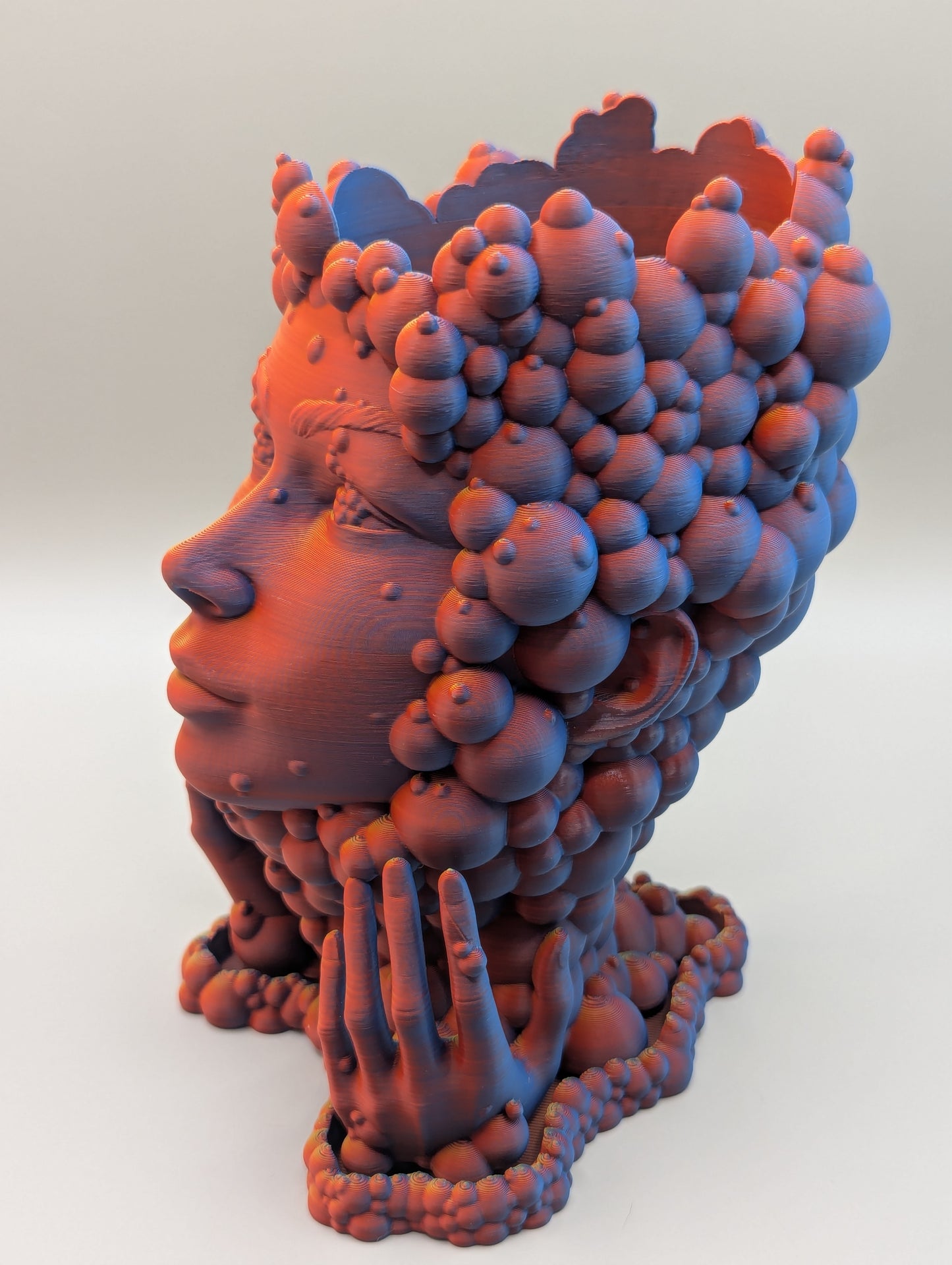 Bubble Lady Planters